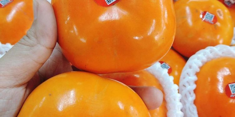 Danh sách Cửa hàng trái cây sạch tại TP Huế